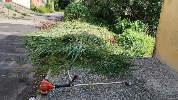 Limpeza de lotes e terrenos com roçadeira 