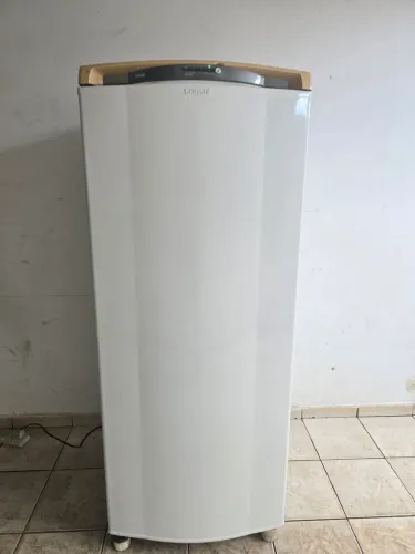 Geladeira Frost Free Entrego 