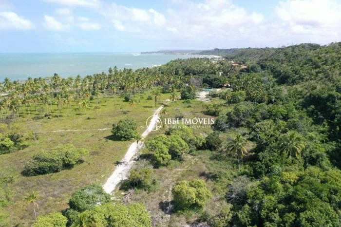 Melhor Area de Praia sul da Bahia para grandes Players do mercado Imobiliário
