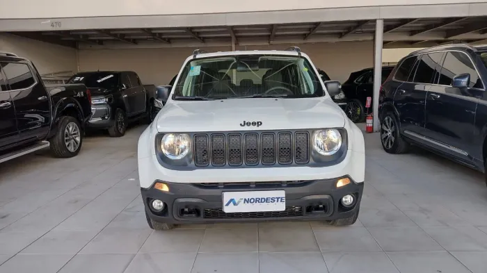Jeep Renegade 2.0 16V Turbo Diesel Moabe 4P 4x4 Automático 2021