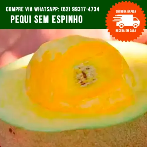 Mudas de Pequi Enxertado sem Espinho
