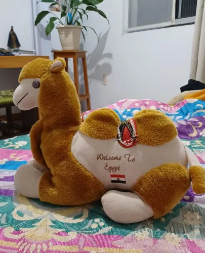 Camelo de Pelúcia direto do Egito. Detalhes na descrição.