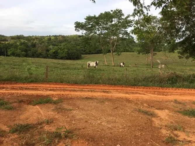Aceita Permuta (1.570 hectares Alto Araguaia)