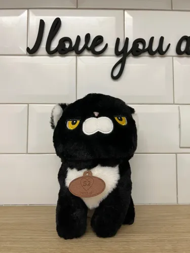 Gatinho bravo 