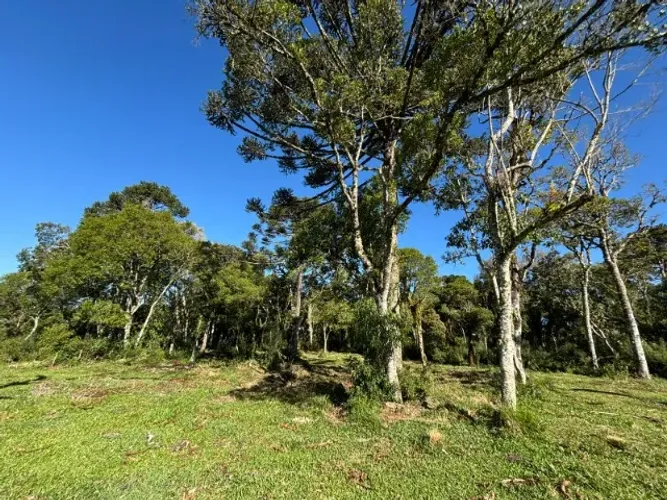 Chácara de dois hectares 179.000,00