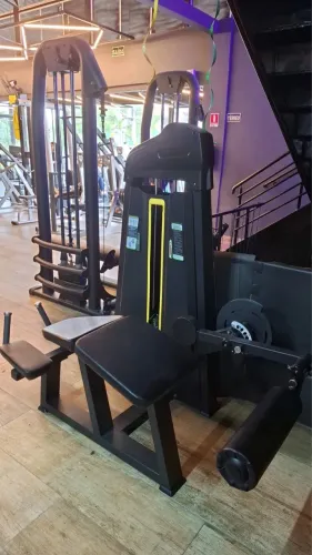 Mesa flexora