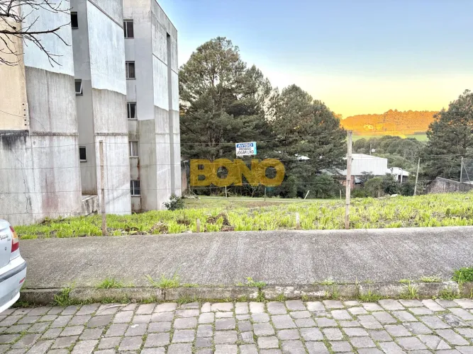 Terreno à Venda no Bairro Forqueta - Caxias do Sul