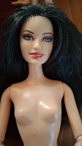 Barbie Raquelle Fashionista
