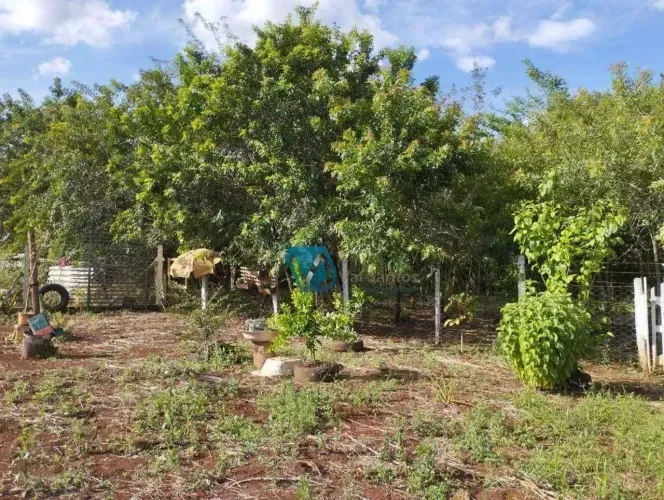 Terreno à venda, 1000 m² por R$ 220.000,00 - Conjunto Habitacional Jamile Dequech - Londri