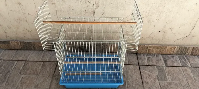 Gaiola para calopsita