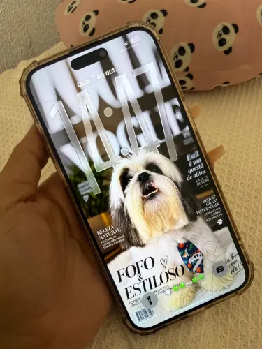 iPhone 15 pro max 256