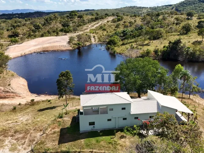 Fazenda de Luxo 17.3 alqueires (93,41 hectares) Faina - GO