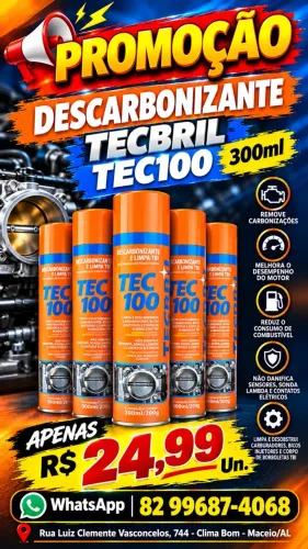 Descarbonizante TECBRIL TEC100