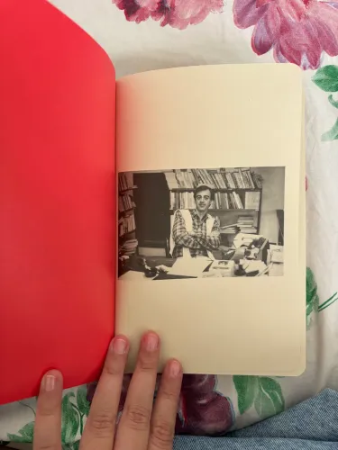LIVRO MORANGOS MOFADOS