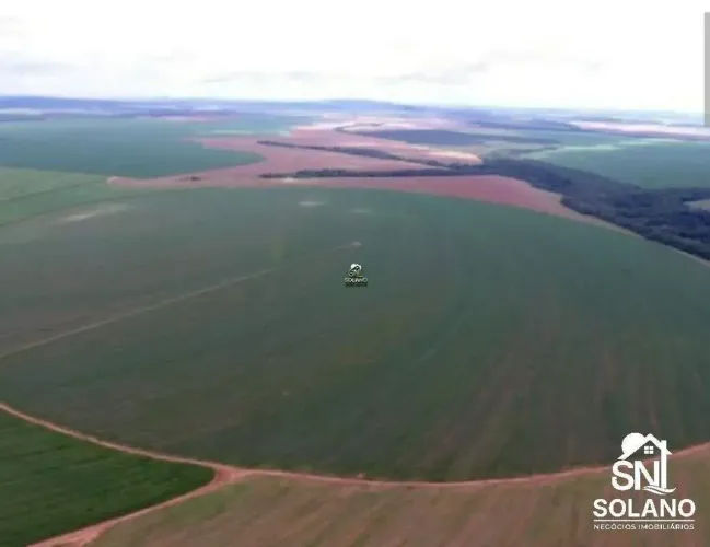 Fazenda a Venda Município: entre paredão e primavera - MT