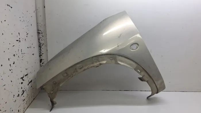 Paralama Dianteira Lado Esquerdo Ford Ka 2004 / 2005 / 2006