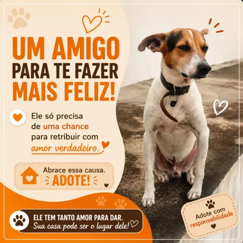 DOASSE CACHORRO