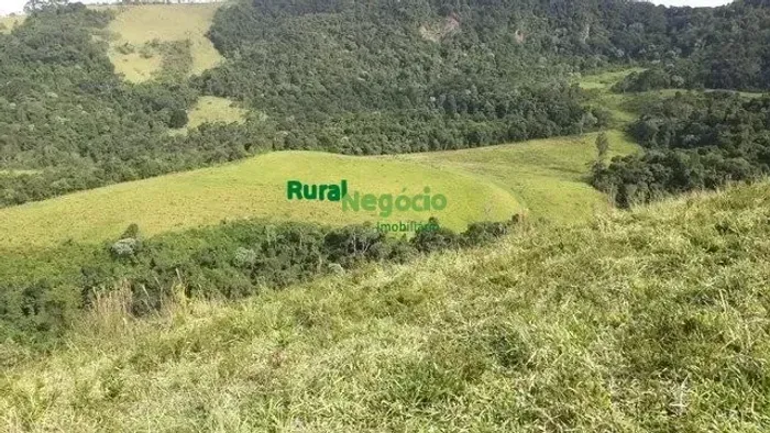 FAZENDA PARA PLANTIO DE OLIVEIRAS/ CAFÉ/ GADO MARIA DA FÉ - MG