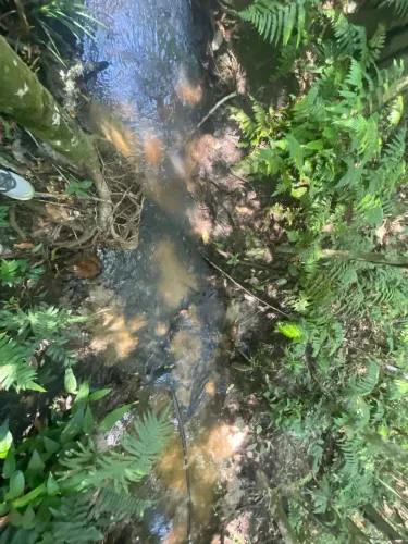 2.7 hectares Área rural - casa de veraneio Jaraguari