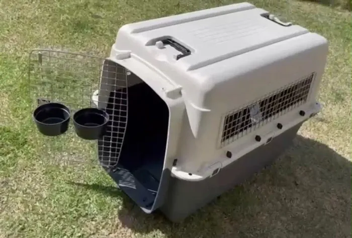 Caixa de transporte para pets cachorro 