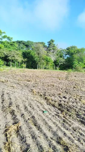 Terreno,zona rural