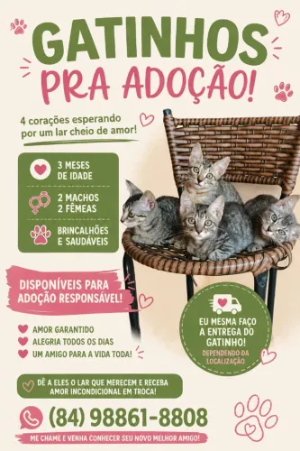 Adoção responsável 