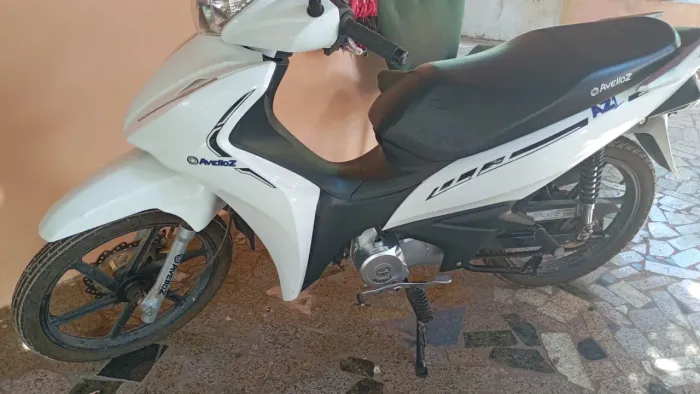 Avelloz modelo 2025