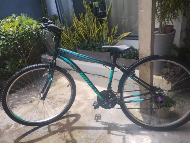 Bicicleta Houston Aro 29