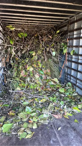 podador de árvore limpeza e remoção de entulhos