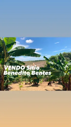 Sítio/Benedito Bentes ll