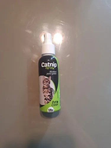 Catnip novo