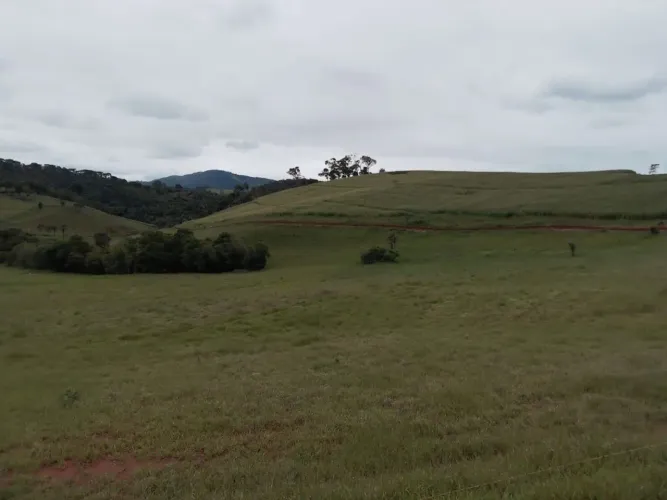 Fazenda com 130,80 hectares e curral completo em Zona Rural, Dom Viçoso/MG.