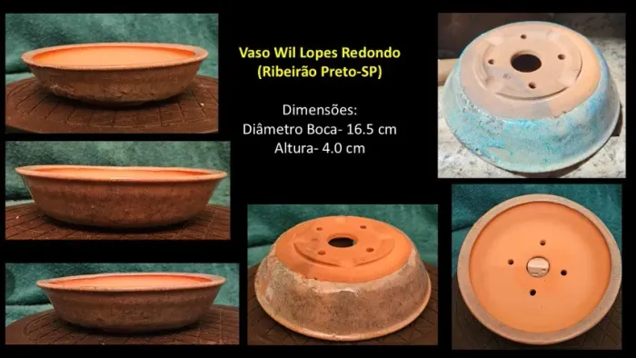 Vaso bonsai Redondo Wil Lopes Cerâmica Artesanal