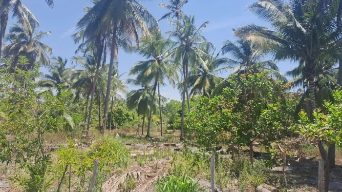 Vendo ou troco por moto 