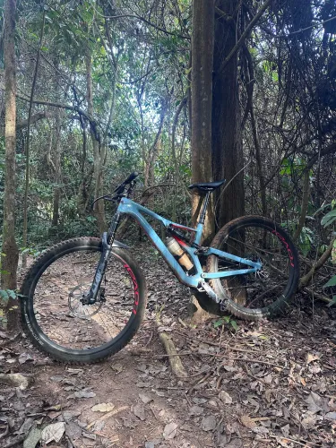 Bicicleta Specialized stumpjumper carbono
