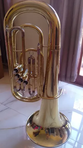 Tuba weril bentley