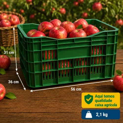 Caixa Agrícola/hortifruti Verde Direto da fábrica
