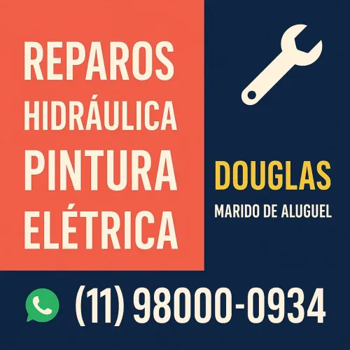 Marido de aluguel