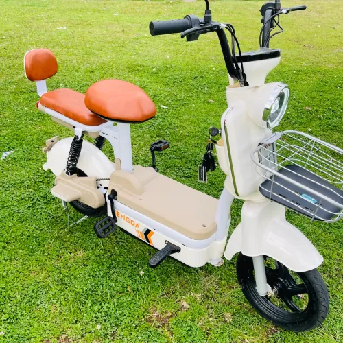 Moto Elétrica 800w