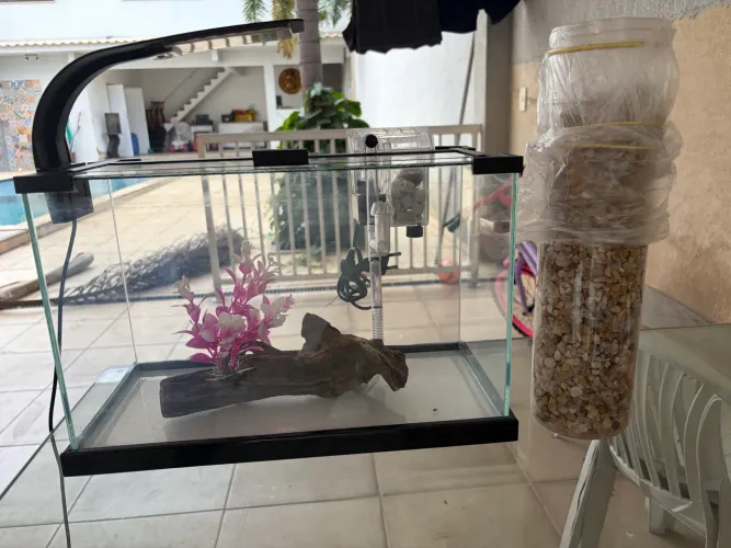 Aquário completo 13l marca Fish Little