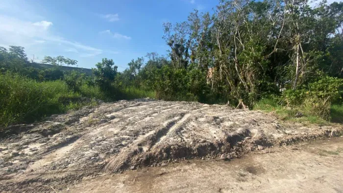 Terreno para Venda em Matinhos, Balneário Praia Grande