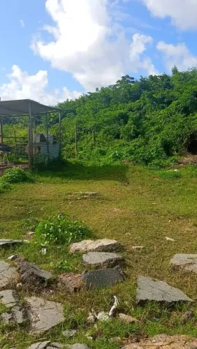 Terreno