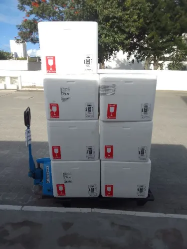 Caixa de isopor 120 litros