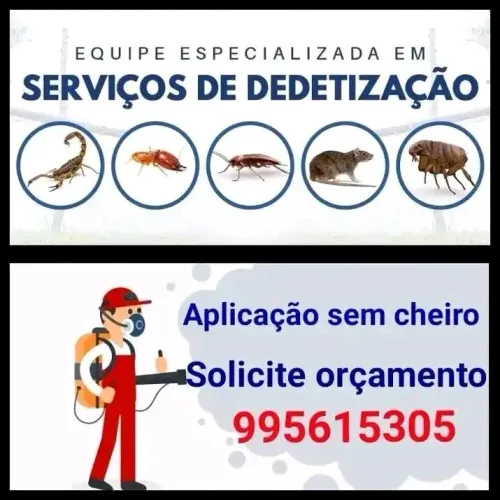 DEDETIZAÇÃO GERAL E PREVENTIVA