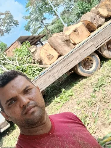 Corto e podor árvore e retiro os galhos