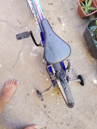 Bicicleta infantil menino