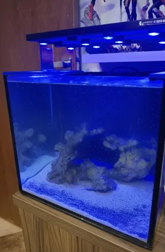 Aquário nano reef sem móvel