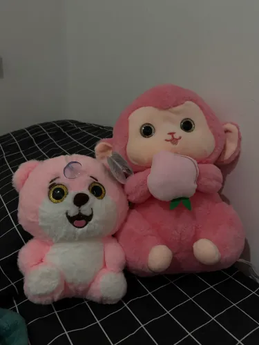 Dupla de ursinhos de pelúcia 
