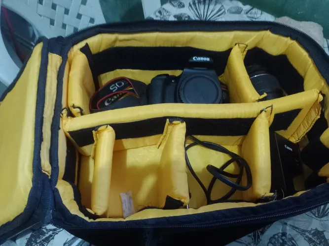 Canon t6