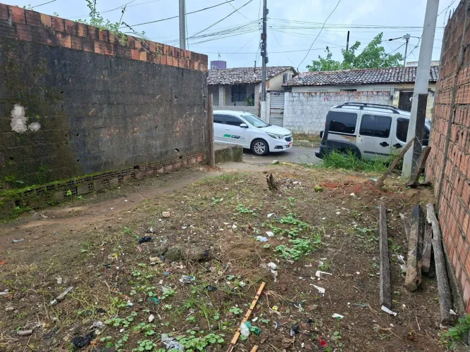 Terreno 